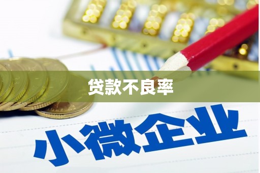 毕节贷款不良率