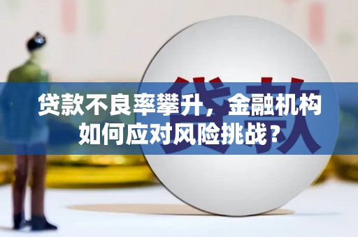 毕节贷款不良率攀升，金融机构如何应对风险挑战？