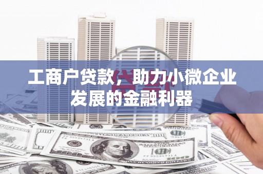 毕节工商户贷款，助力小微企业发展的金融利器