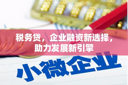 毕节税务贷，企业融资新选择，助力发展新引擎