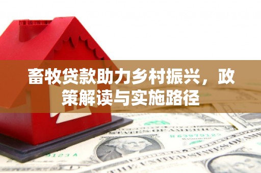 毕节畜牧贷款助力乡村振兴，政策解读与实施路径
