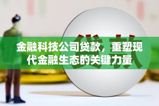 毕节金融科技公司贷款，重塑现代金融生态的关键力量