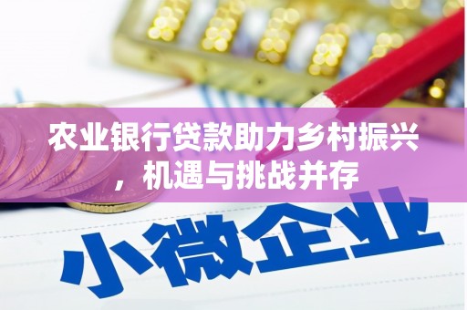 毕节农业银行贷款助力乡村振兴，机遇与挑战并存