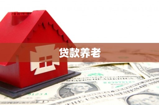 毕节贷款养老