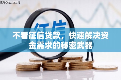 毕节不看征信贷款，快速解决资金需求的秘密武器