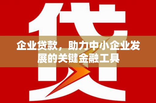 毕节企业贷款，助力中小企业发展的关键金融工具