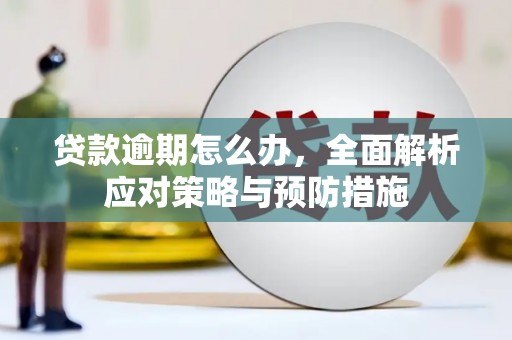 毕节贷款逾期怎么办，全面解析应对策略与预防措施