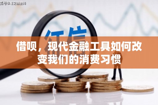 毕节借呗，现代金融工具如何改变我们的消费习惯