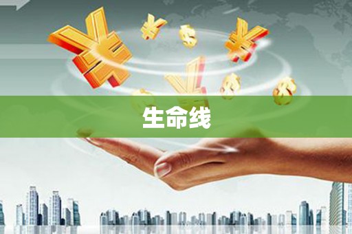 毕节生命线