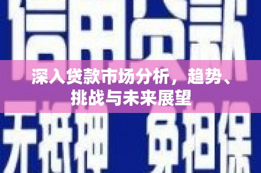 毕节深入贷款市场分析，趋势、挑战与未来展望