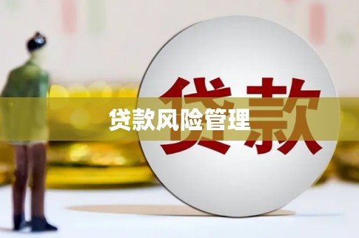 毕节贷款风险管理