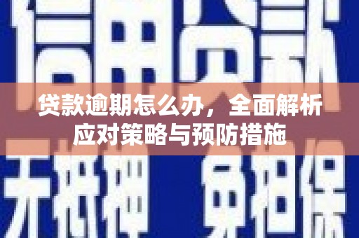 毕节贷款逾期怎么办，全面解析应对策略与预防措施