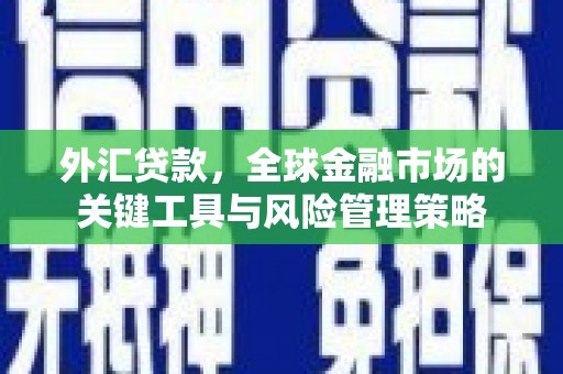 毕节外汇贷款，全球金融市场的关键工具与风险管理策略