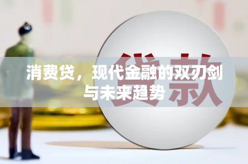 毕节消费贷，现代金融的双刃剑与未来趋势