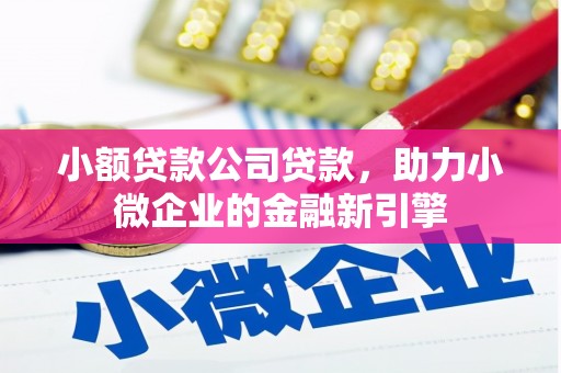 毕节小额贷款公司贷款，助力小微企业的金融新引擎