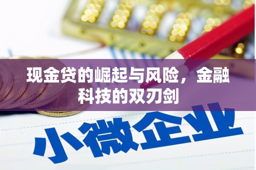 毕节现金贷的崛起与风险，金融科技的双刃剑