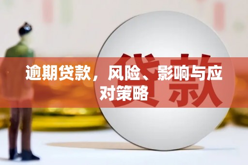 毕节逾期贷款，风险、影响与应对策略