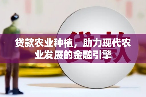 毕节贷款农业种植，助力现代农业发展的金融引擎