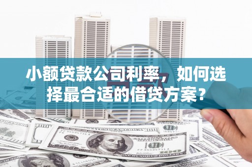 毕节小额贷款公司利率，如何选择最合适的借贷方案？