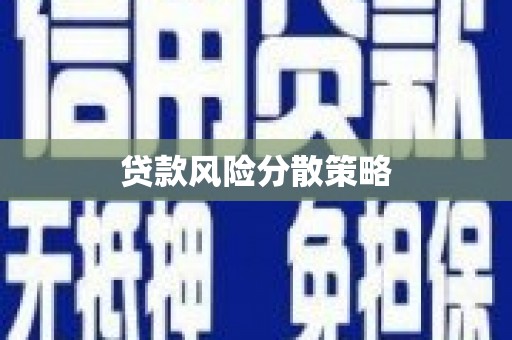 毕节贷款风险分散策略