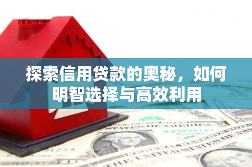 毕节探索信用贷款的奥秘，如何明智选择与高效利用