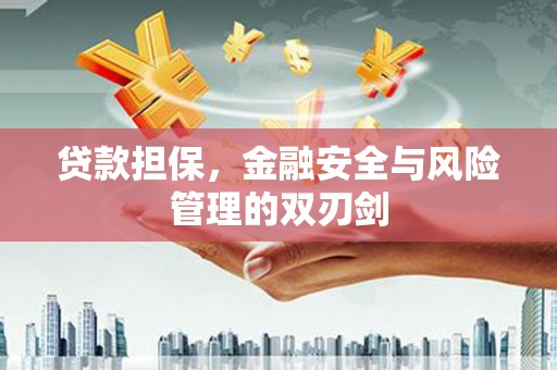 毕节贷款担保，金融安全与风险管理的双刃剑