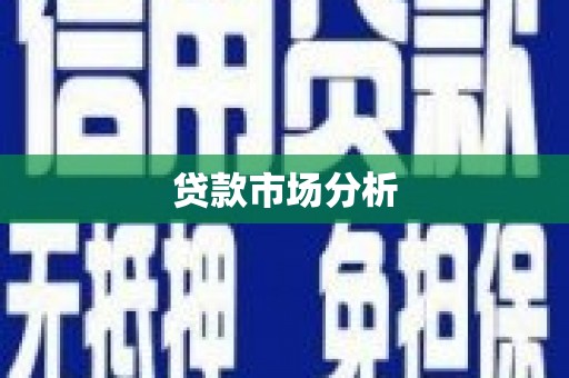 毕节贷款市场分析