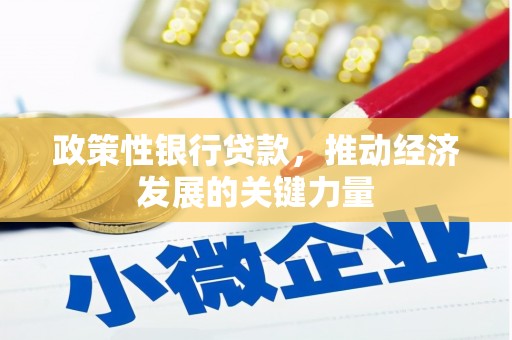 毕节政策性银行贷款，推动经济发展的关键力量
