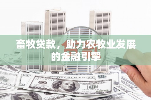 毕节畜牧贷款，助力农牧业发展的金融引擎