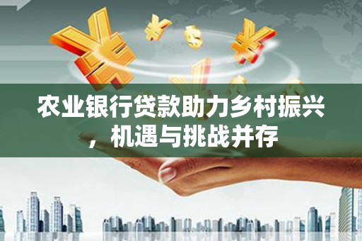 毕节农业银行贷款助力乡村振兴，机遇与挑战并存