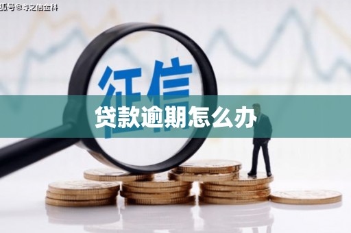 毕节贷款逾期怎么办