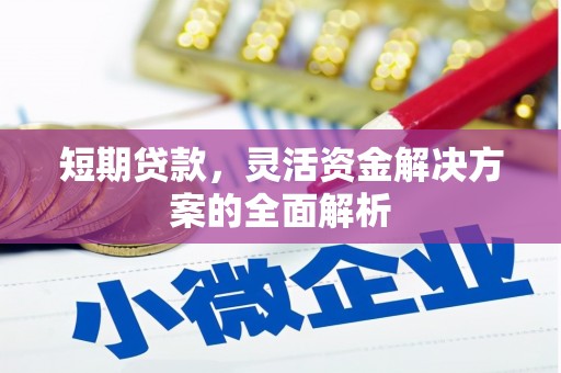 毕节短期贷款，灵活资金解决方案的全面解析