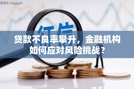 毕节贷款不良率攀升，金融机构如何应对风险挑战？