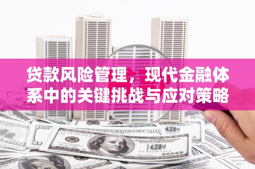 毕节贷款风险管理，现代金融体系中的关键挑战与应对策略