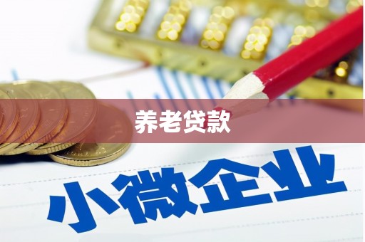 毕节养老贷款