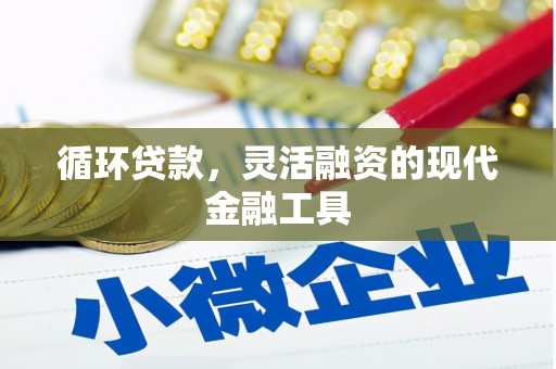 毕节循环贷款，灵活融资的现代金融工具