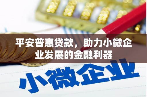 毕节平安普惠贷款，助力小微企业发展的金融利器