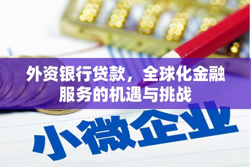 毕节外资银行贷款，全球化金融服务的机遇与挑战