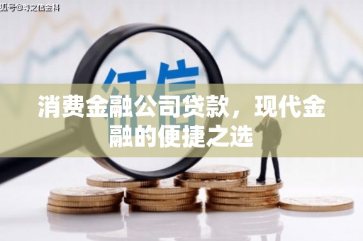 毕节消费金融公司贷款，现代金融的便捷之选