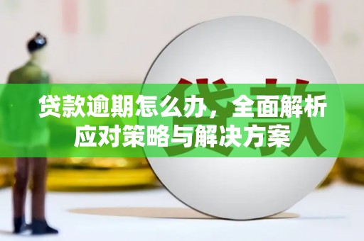 毕节贷款逾期怎么办，全面解析应对策略与解决方案