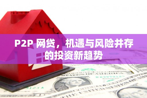 毕节P2P 网贷，机遇与风险并存的投资新趋势
