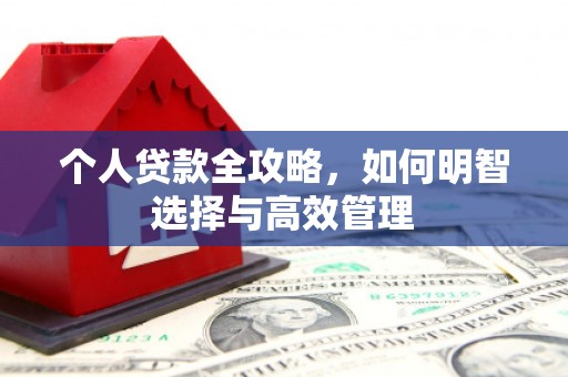 毕节个人贷款全攻略，如何明智选择与高效管理