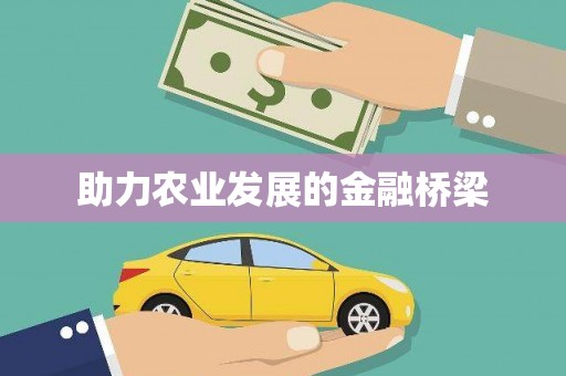 毕节助力农业发展的金融桥梁