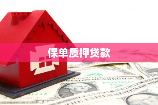 毕节保单质押贷款