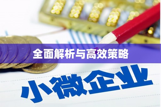毕节全面解析与高效策略