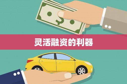 毕节灵活融资的利器