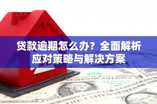 毕节贷款逾期怎么办？全面解析应对策略与解决方案