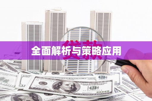 毕节全面解析与策略应用