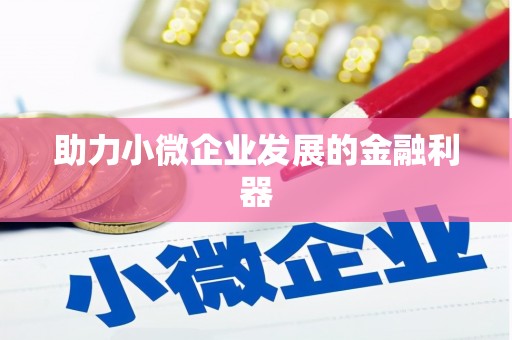 毕节助力小微企业发展的金融利器