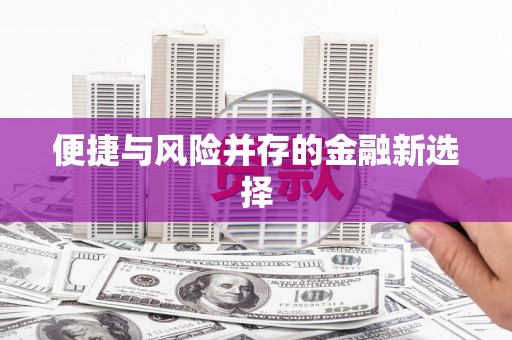 毕节便捷与风险并存的金融新选择